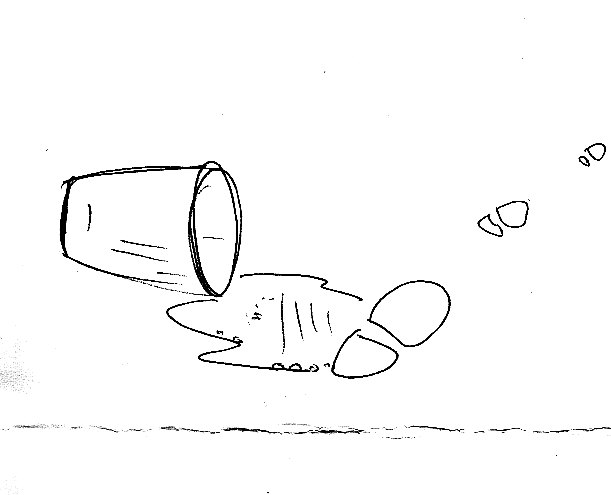 beer walking marathon